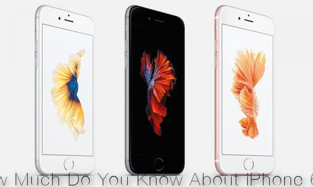 Quiz! How Much Do You Know About iPhone 6s?
