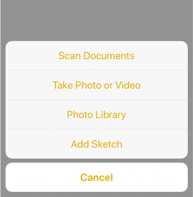 scan documents using notes ios 11