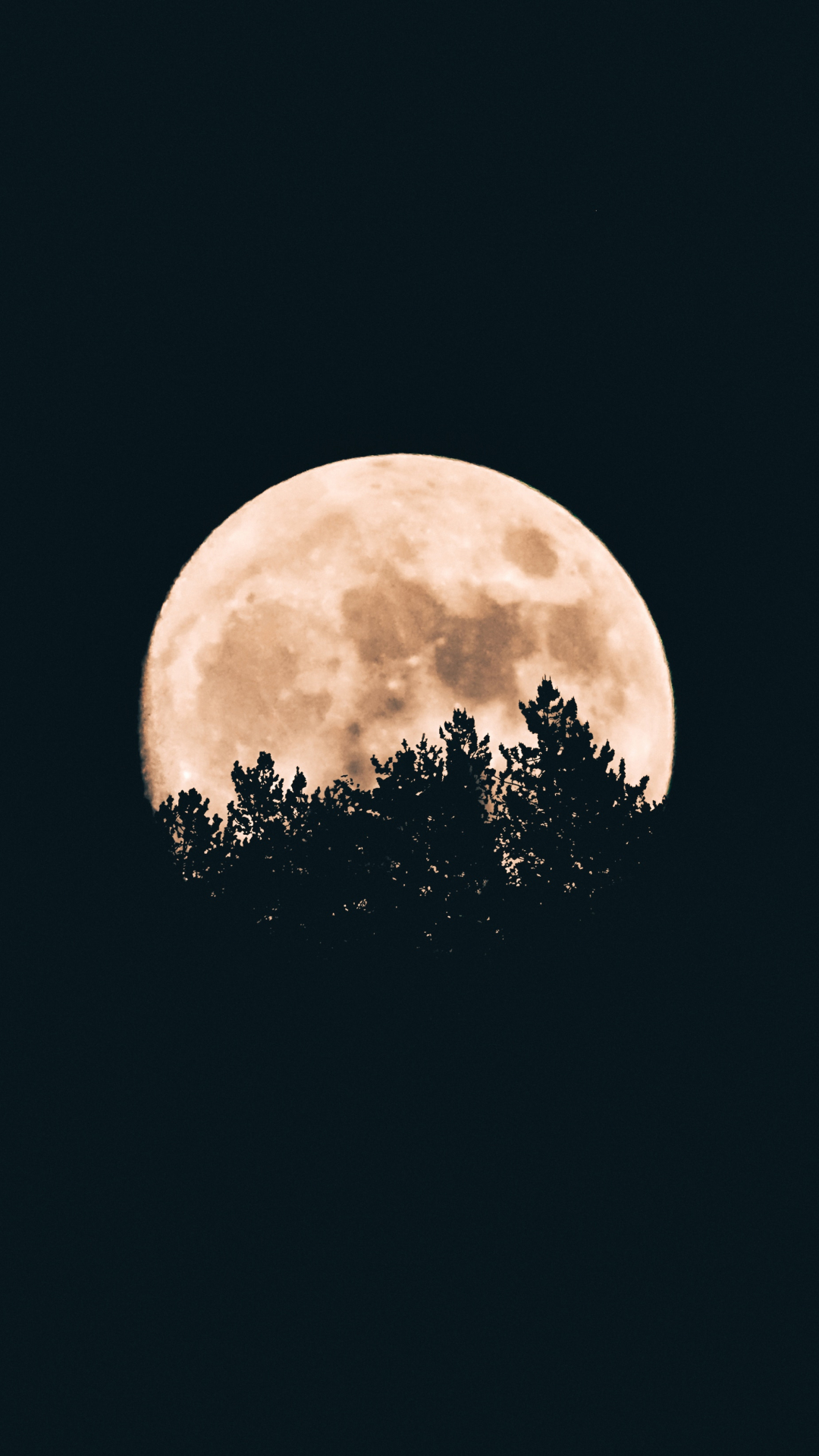 Night, Dark, Moon iPhone Wallpaper