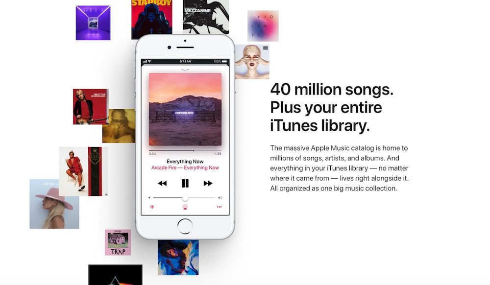 Apple Music Catalog