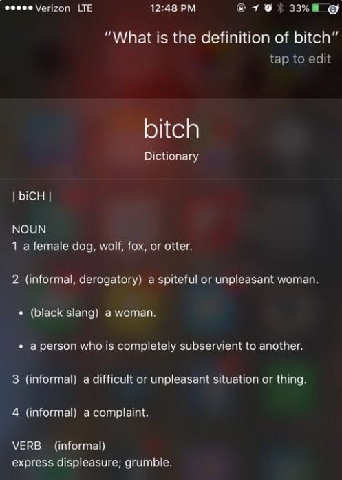 Siri Definition Of Bitch