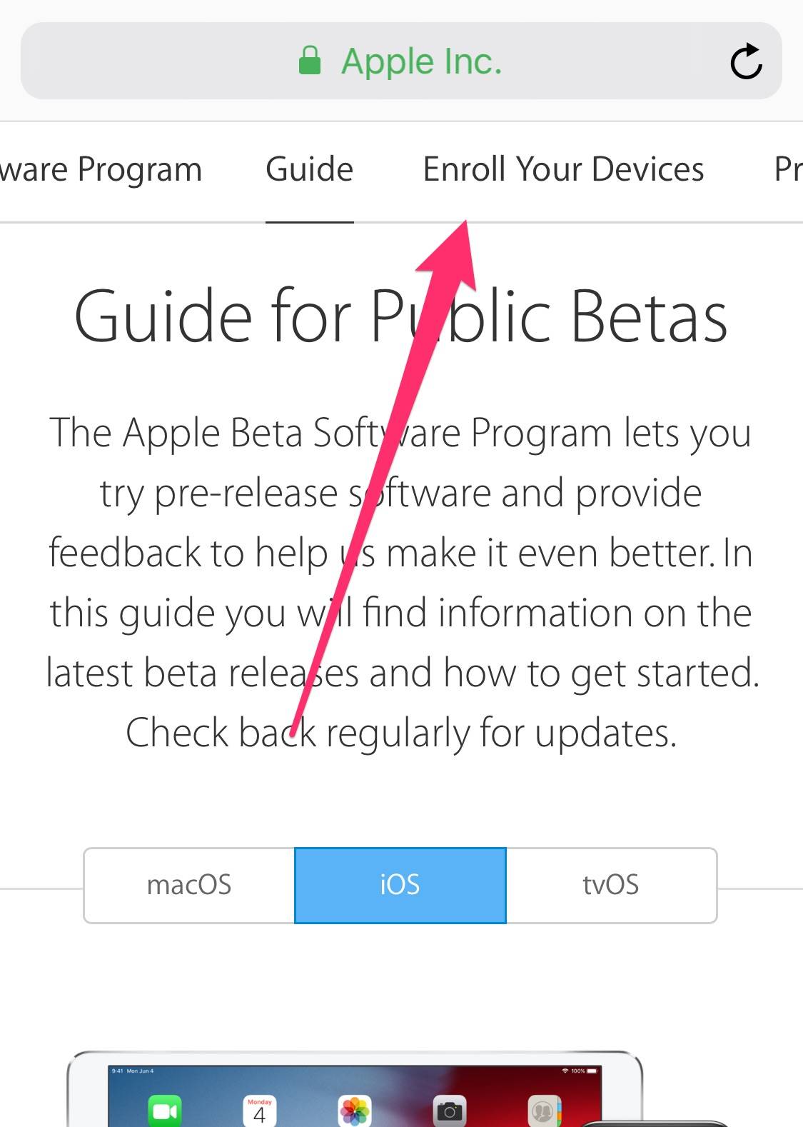 Install Ios 12 Public Beta 3
