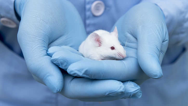 Animal Research Mouse Shutterstock 605226554 News