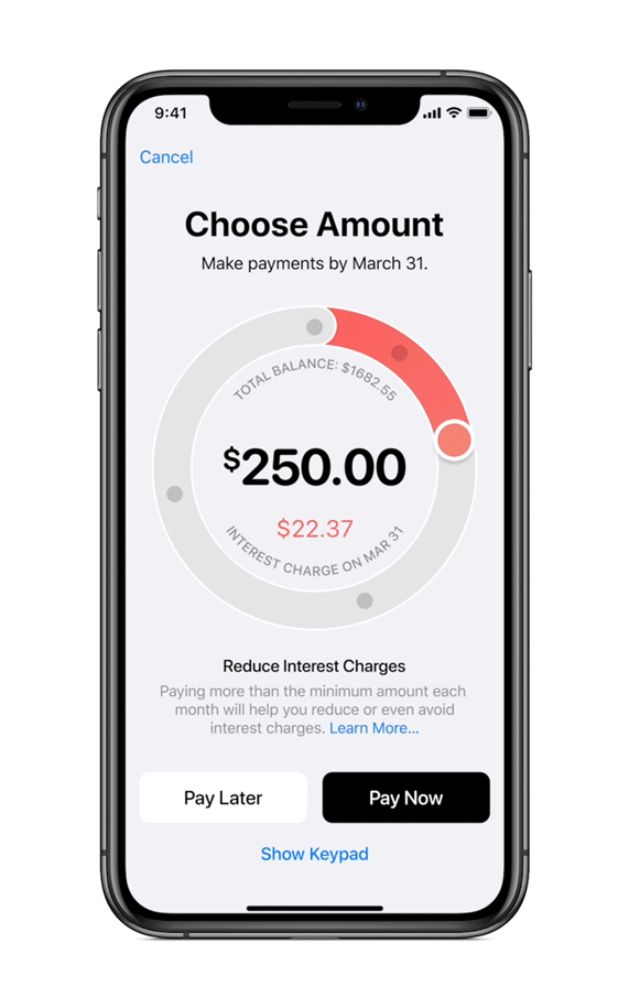Apple Card Choose Payment Amount Screen 03252019 Inline.gif.large 