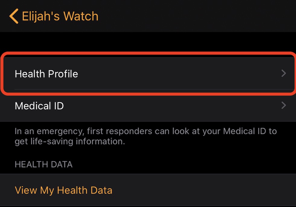 Health Profile Apple Watch