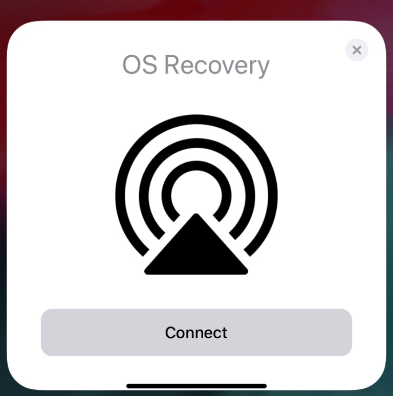 Apple Recovery iOS