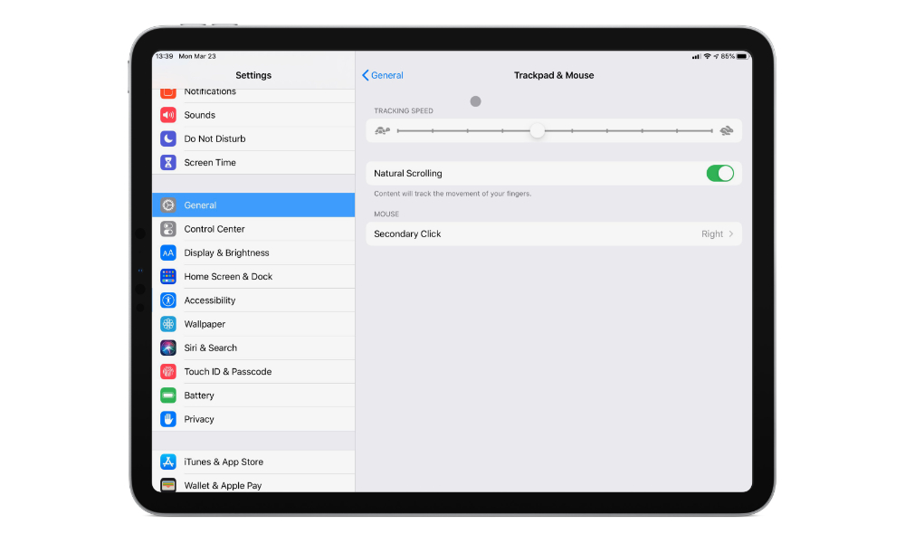 iPadOS 13.4 mouse trackpad and mouse settings