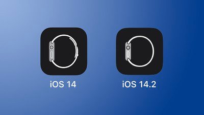 iOS 14.2 Apple Watch App Icon
