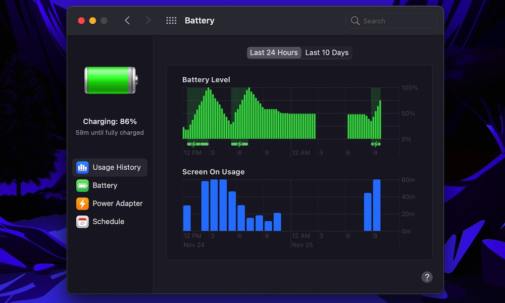 macOS Big Sur Battery