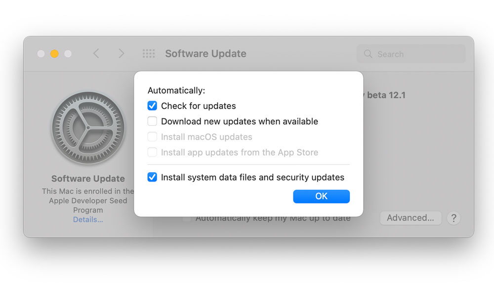 macOS Software Updates advanced settings