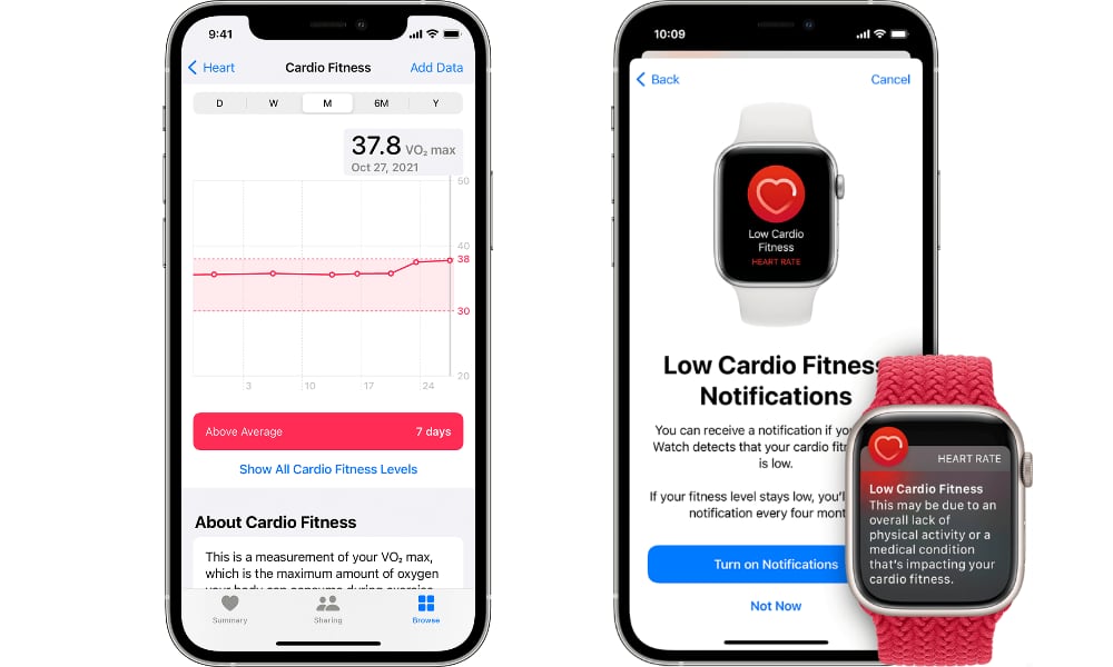 Apple Watch Cardio Fitness