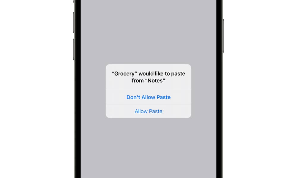 iOS 16 copy and paste permission request