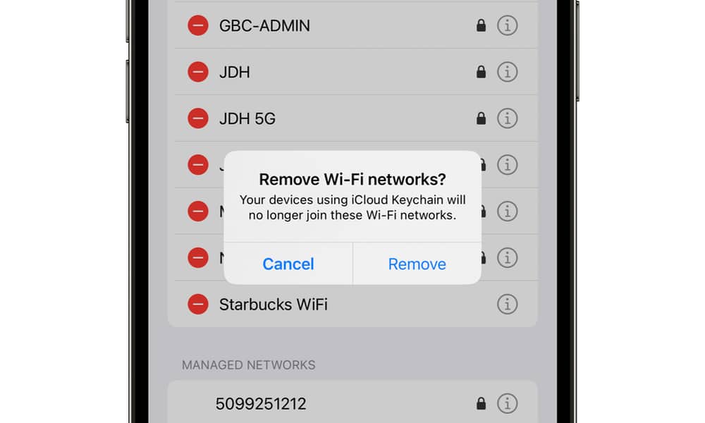 iOS 16 Manage Wi Fi Networks delete warning